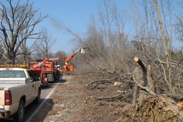 WCRC crews trimming damaged trees