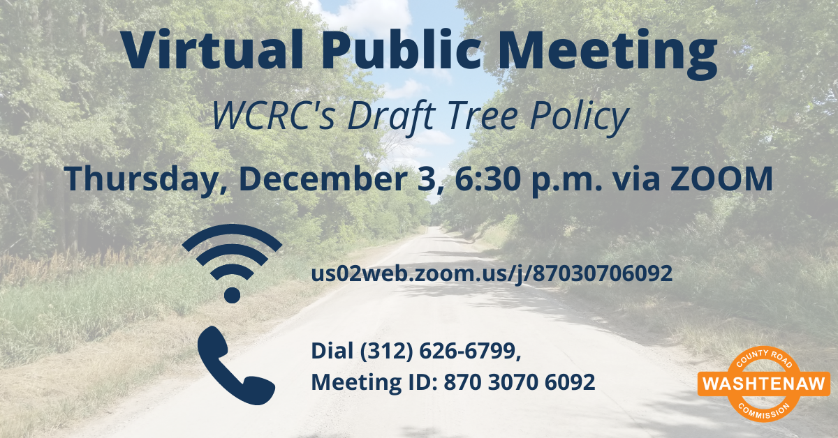 graphic with info for joining virtual public meeting
